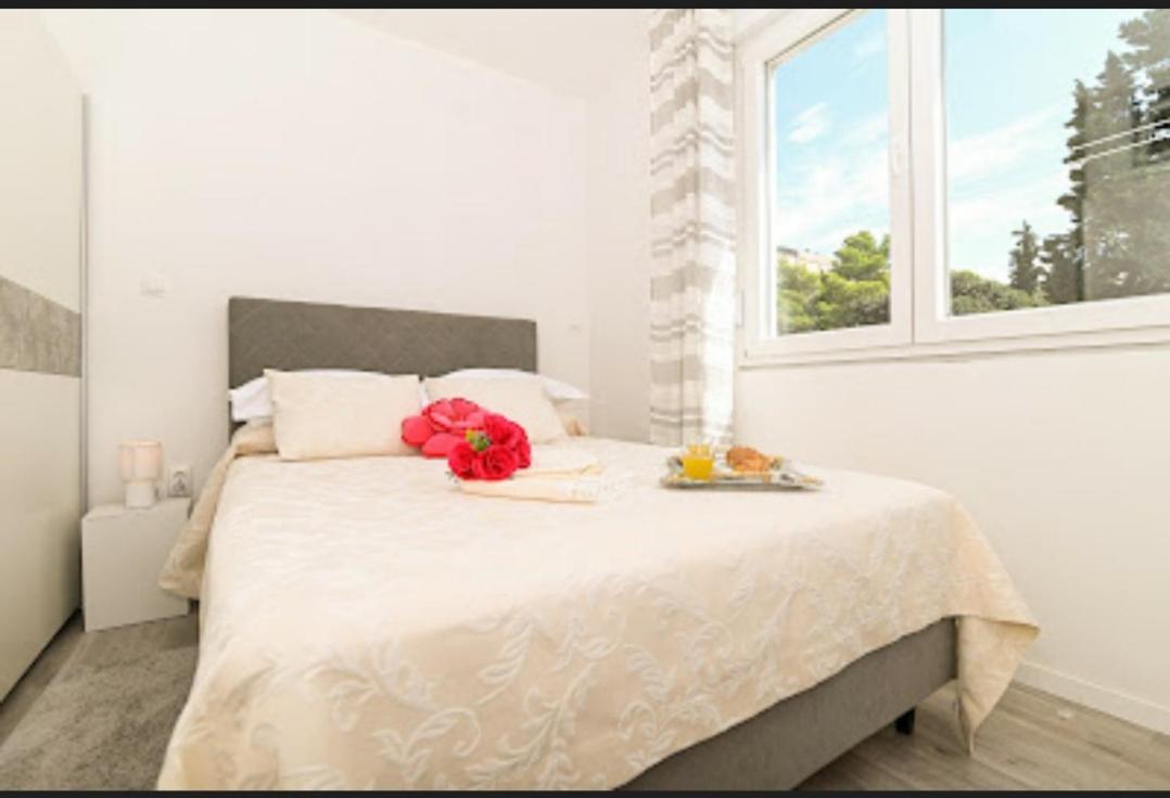 Apartmán Modern Oasis *