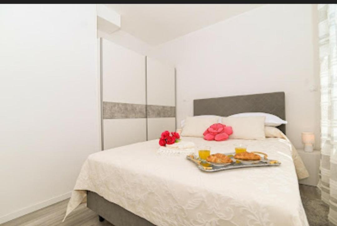 Modern Oasis Apartmán